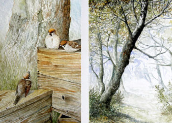 Stage d'aquarelle organis� par l'�quipe